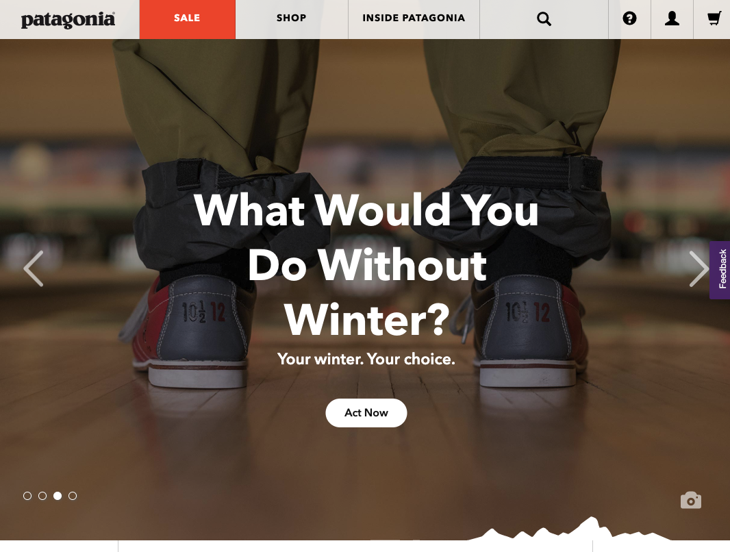 patagonia personality psychographic segmentation